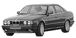 BMW E34 P1DDE Fault Code